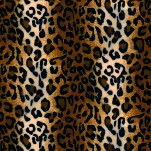 Dinarsu 110367171 Leopar Desenli Proje Halısı