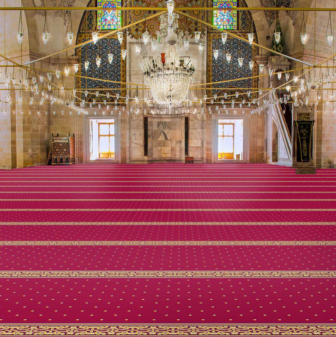 a_elya_safl_cami_hal_s_1__1_1