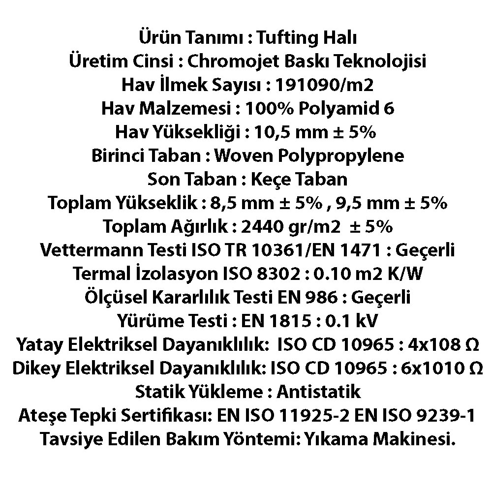 dense_2_2_1_1_1_1_1_1_1_1_1_1_1_1