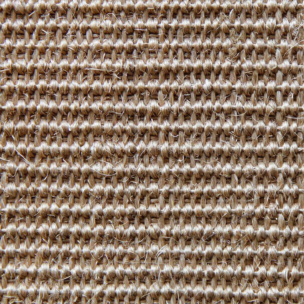 sahara