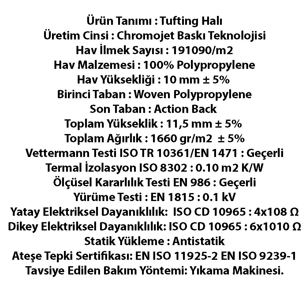 sinergy_1_1_1_1_1_1_1